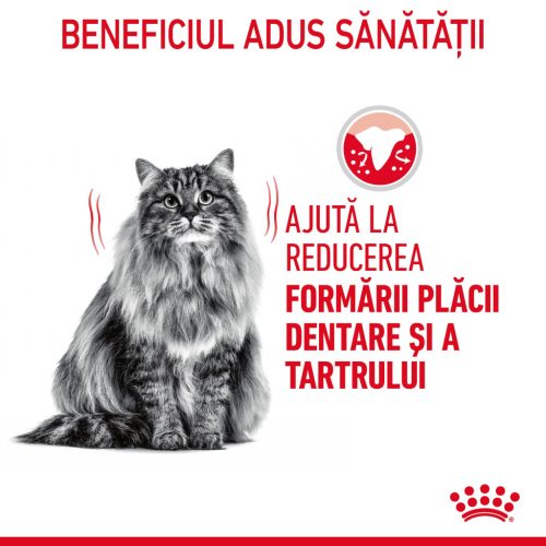 Royal Canin Oral Care Adult Hrană uscată pentru pisici 1,5 kg
