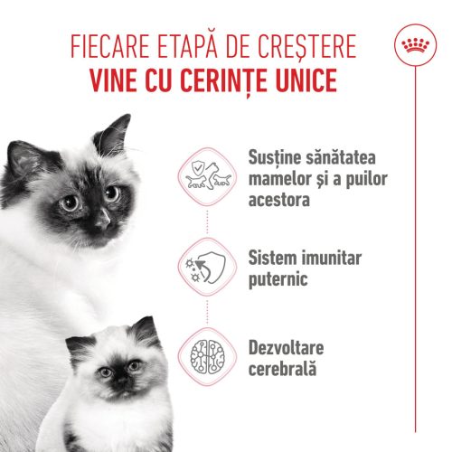 Royal Canin Mother & BabyCat Hrană umedă pentru pisici, mama și puiul 2 kg