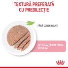 Royal Canin Mother & BabyCat Hrană umedă pentru pisici, mama și puiul 2 kg