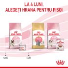 Royal Canin Mother & BabyCat Hrană umedă pentru pisici, mama și puiul 2 kg