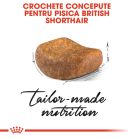 Royal Canin British Shorthair Adult Hrană uscată pentru pisici 2 kg