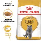 Royal Canin British Shorthair Adult Hrană uscată pentru pisici 2 kg
