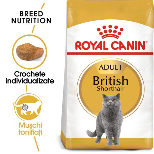 Royal Canin British Shorthair Adult Hrană uscată pentru pisici 2 kg