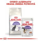 Royal Canin Sterilised Adult Hrană uscată pentru pisici sterilizate 2 kg