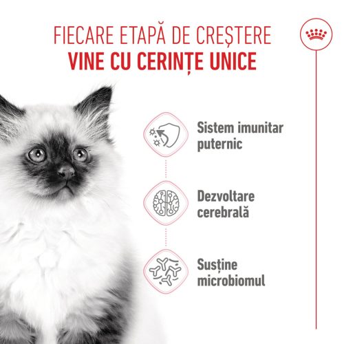 Royal Canin Kitten Hrană uscată pentru pisici 4 kg