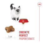 Royal Canin Kitten Hrană uscată pentru pisici 4 kg