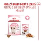 Royal Canin Kitten Hrană uscată pentru pisici 4 kg