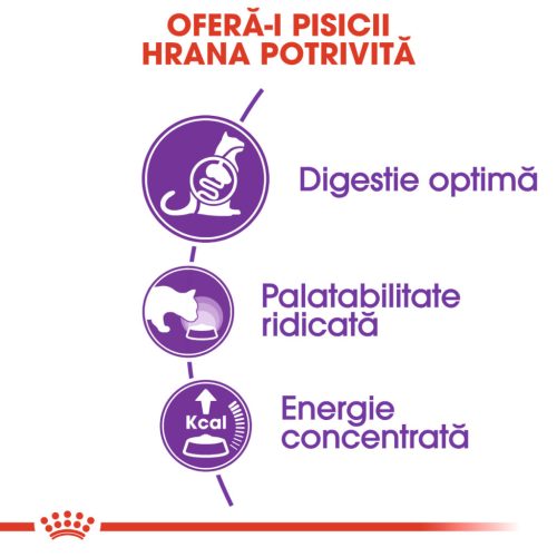 Royal Canin Sensible Adult Hrană uscată pentru pisici, digestie optimă 4 kg