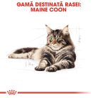 Royal Canin Maine Coon Adult Hrană uscată pentru pisici 4 kg