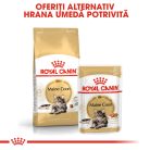 Royal Canin Maine Coon Adult Hrană uscată pentru pisici 4 kg