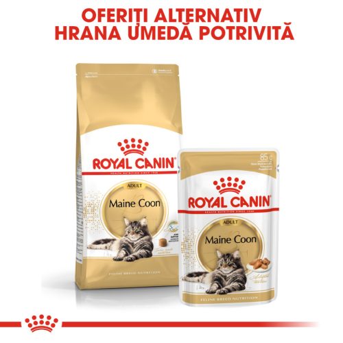 Royal Canin Maine Coon Adult Hrană uscată pentru pisici 4 kg