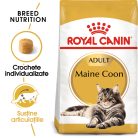 Royal Canin Maine Coon Adult Hrană uscată pentru pisici 4 kg