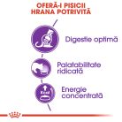 Royal Canin Sensible Adult Hrană uscată pentru pisici, digestie optimă 10 kg