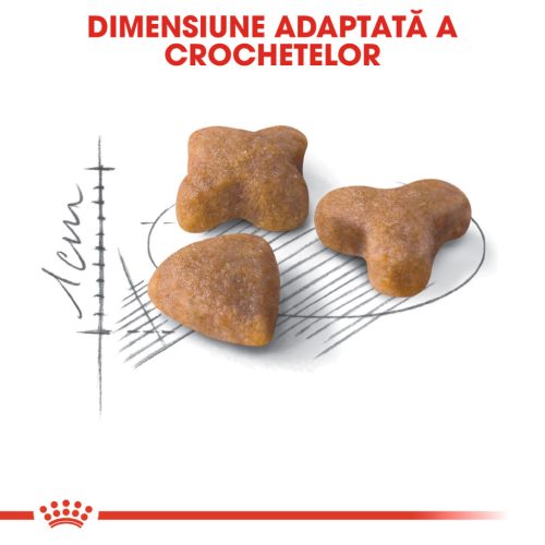 Royal Canin Sensible Adult Hrană uscată pentru pisici, digestie optimă 10 kg