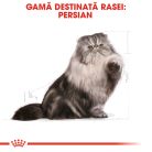 Royal Canin Persian Adult Hrană uscată pentru pisici 10 kg
