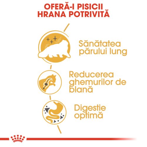 Royal Canin Persian Adult Hrană uscată pentru pisici 10 kg
