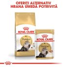 Royal Canin Persian Adult Hrană uscată pentru pisici 10 kg