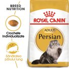 Royal Canin Persian Adult Hrană uscată pentru pisici 10 kg