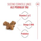 Royal Canin Kitten Hrană uscată pentru pisici 10 kg