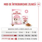 Royal Canin Kitten Hrană uscată pentru pisici 10 kg