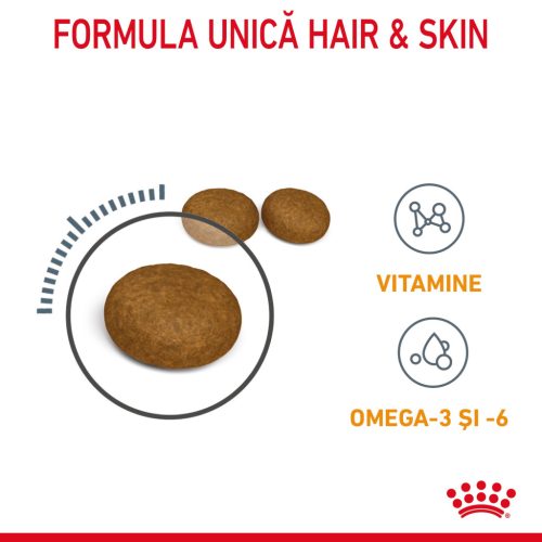 Royal Canin Hair & Skin Care Adult Hrană uscată pentru pisici 10 kg