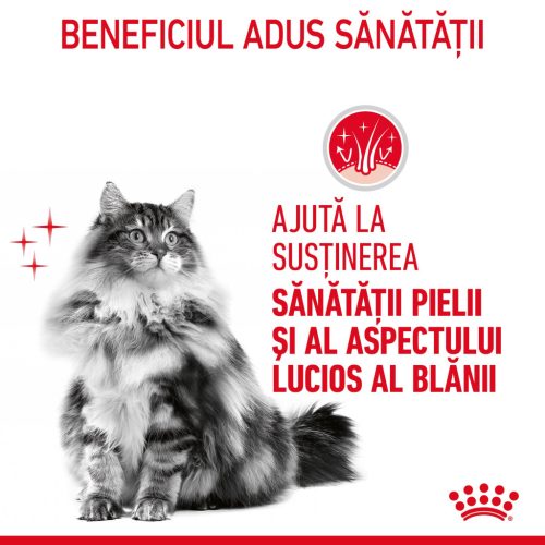 Royal Canin Hair & Skin Care Adult Hrană uscată pentru pisici 10 kg