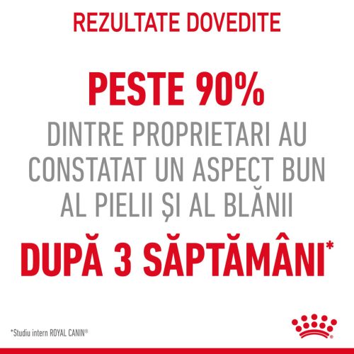 Royal Canin Hair & Skin Care Adult Hrană uscată pentru pisici 10 kg