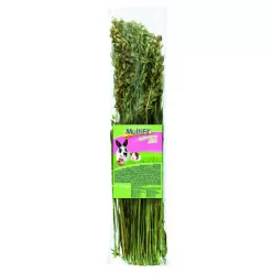 MultiFit Hrană pentru mamifere mici, pachet de ovăz 120 g