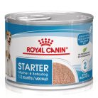 Royal Canin Starter Mousse Hrană umedă pentru câini, mama și puiul 195 g
