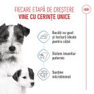 Royal Canin Starter Mousse Hrană umedă pentru câini, mama și puiul 195 g