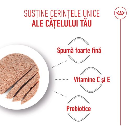 Royal Canin Starter Mousse Hrană umedă pentru câini, mama și puiul 195 g