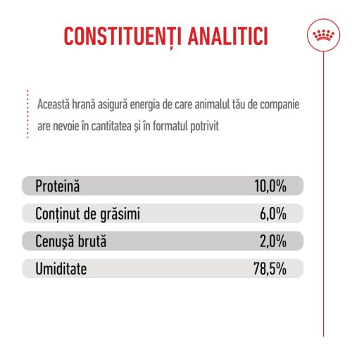 Royal Canin Starter Mousse Hrană umedă pentru câini, mama și puiul 195 g