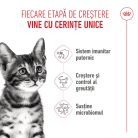 Royal Canin Kitten Sterilised Hrană uscată pentru pisici 400 g