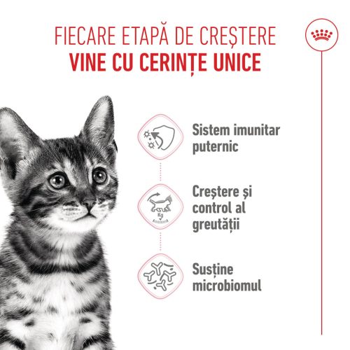 Royal Canin Kitten Sterilised Hrană uscată pentru pisici 400 g