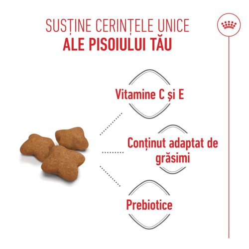 Royal Canin Kitten Sterilised Hrană uscată pentru pisici 400 g