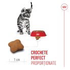 Royal Canin Kitten Sterilised Hrană uscată pentru pisici 400 g