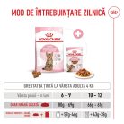 Royal Canin Kitten Sterilised Hrană uscată pentru pisici 400 g