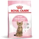 Royal Canin Kitten Sterilised Hrană uscată pentru pisici 2 kg