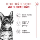 Royal Canin Kitten Sterilised Hrană uscată pentru pisici 2 kg