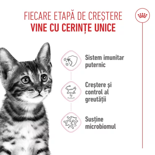 Royal Canin Kitten Sterilised Hrană uscată pentru pisici 2 kg