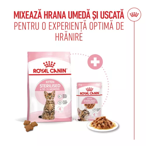 Royal Canin Kitten Sterilised Hrană uscată pentru pisici 2 kg