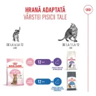Royal Canin Kitten Sterilised Hrană uscată pentru pisici 2 kg