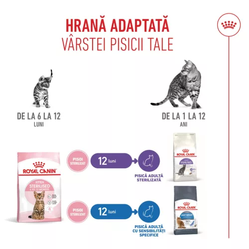 Royal Canin Kitten Sterilised Hrană uscată pentru pisici 2 kg