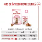 Royal Canin Kitten Sterilised Hrană uscată pentru pisici 2 kg