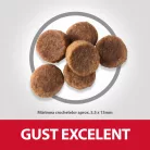 Hill's Hrană uscată pentru câini juniori de talie mare, cu pui 2.5 kg