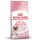 Royal Canin Mother & BabyCat Hrană uscată pentru pisici, mama și puiul 4 kg