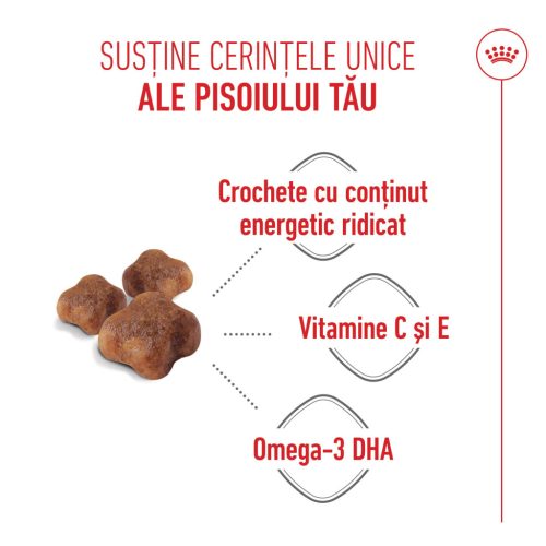 Royal Canin Mother & BabyCat Hrană uscată pentru pisici, mama și puiul 4 kg