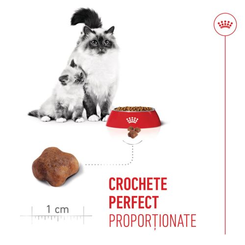 Royal Canin Mother & BabyCat Hrană uscată pentru pisici, mama și puiul 4 kg