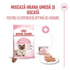 Royal Canin Mother & BabyCat Hrană uscată pentru pisici, mama și puiul 4 kg