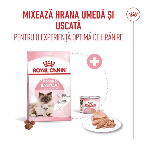 Royal Canin Mother & BabyCat Hrană uscată pentru pisici, mama și puiul 4 kg